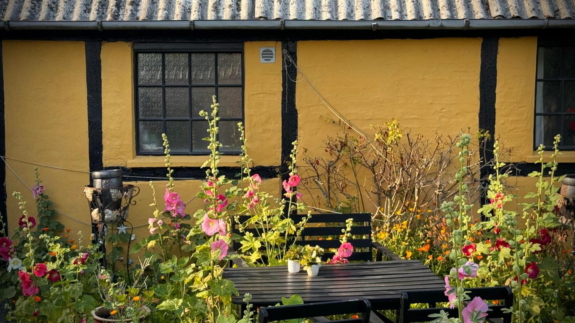 Dyrlev Bed & Breakfast Præstø Extérieur photo